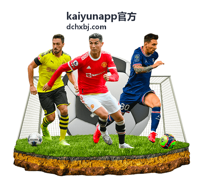kaiyunapp官方 服务与功能区示意图